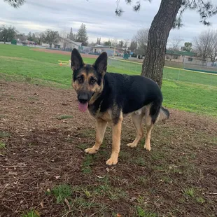Jack with the 2 baseball fields in the background