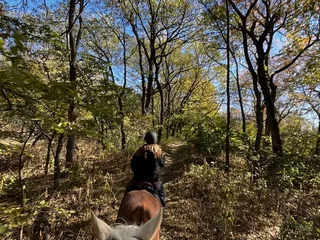A Wilderness Stable