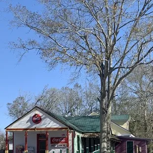 a tree in front of a store