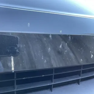 Bugs of Los Banos. I don't blame them and their soft hand (see what I did there?) wash mitts. But it still sucks.