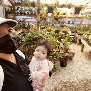 Greenhouse