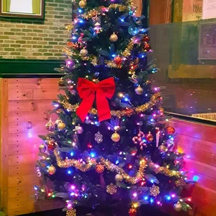 C&amp;G put up the tree!