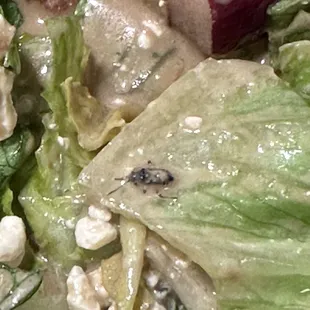 a closeup of a salad with lettuce and meat
