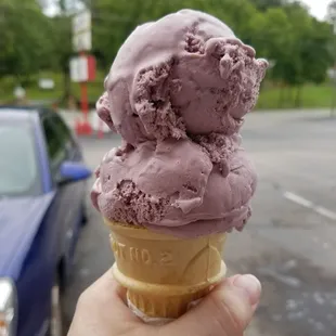 Medium Blackberry Mountain
