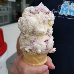 Medium Blueberry Cream Pies