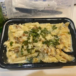 Chicken ziti Alfredo pasta