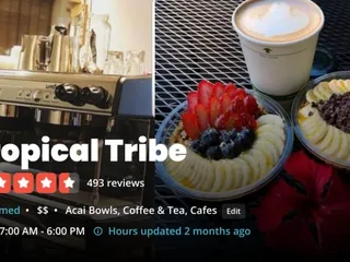 Tropical Tribe