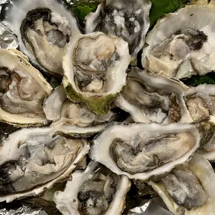 Fresh oysters. They were great