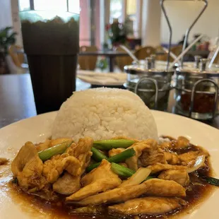 a plate of food with rice