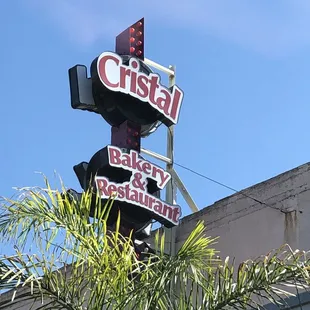a palm tree in front of the sign