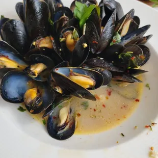 Mussels in white wine and garlic sauce