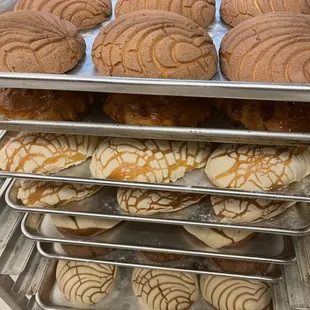 Pan Dulce