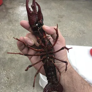 a man holding a cray