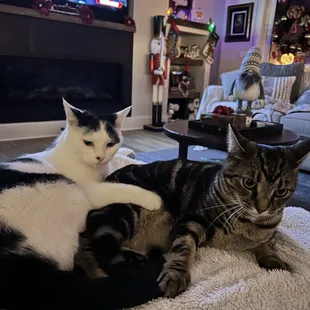 Smudge &amp; Izzy thank you!