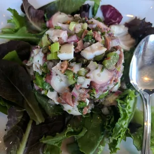 Octopus salad appetizer....highly recommend, so so so good