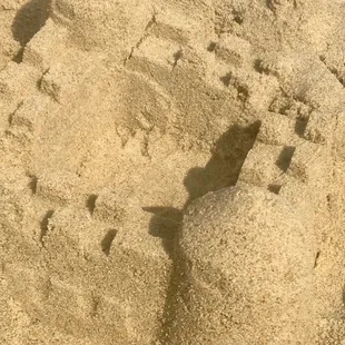 Clean sand, mostly absent of shells beyond the shoreline closer to the dunes