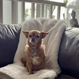 Trixie G.