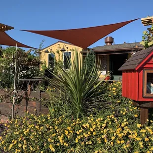 11/19/22 Front facing 17th street