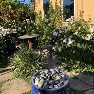 11/19/22 OMGosh this place is so darling!!!