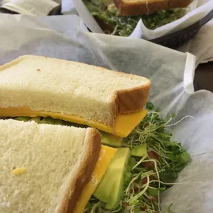 Avocado Sunshine Special