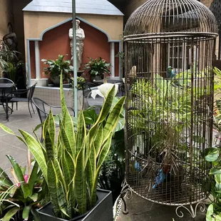 Cool back patio
