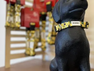 Dueling Dogs Brewing