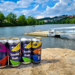 a row of cans on a rock overlooking a lake
