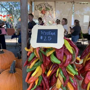 10/14/23 Gilbert Farmers Market