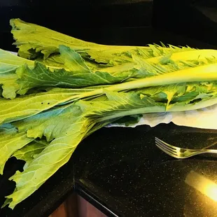 Chinese Mustard Cabbage from Crooked Sky Farms
