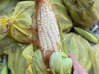 S&J Produce