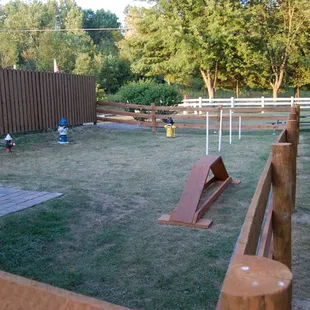 Dog Run