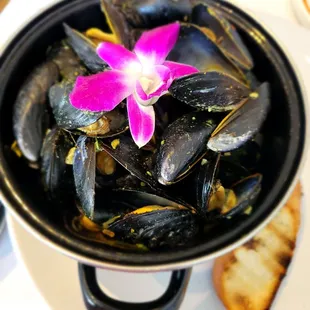 Coconut curry mussels.  Very tasty.