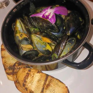 Coconut curry Mussels