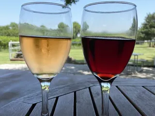 TF Vineyard & Winery