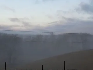 Emerald  Valley Stables and Equine Therapy