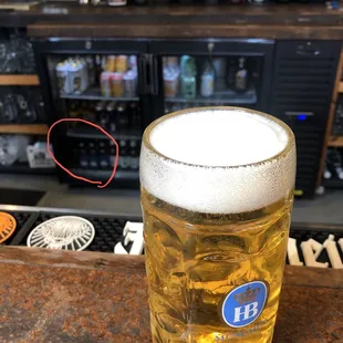 Bud Light (used to tempt buddy who only drinks Bud Light) to join us.