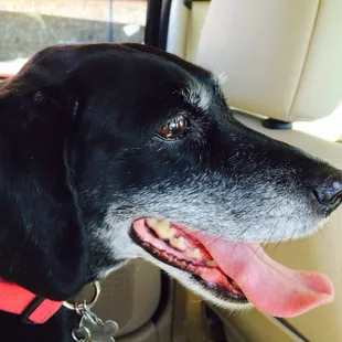 12 yr old Abigail hates this place but mom and dad love it.