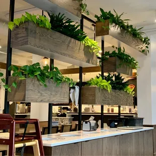 the interior of a coffee shop