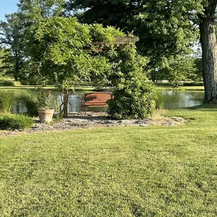 The view from the patio