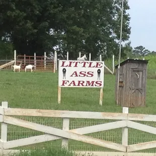 When you see the sign for Little Ass Farms on NC Hwy 16, you are nearing Crossroads Grill.