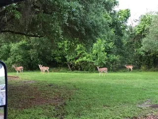 Brackenridge Main Event Center