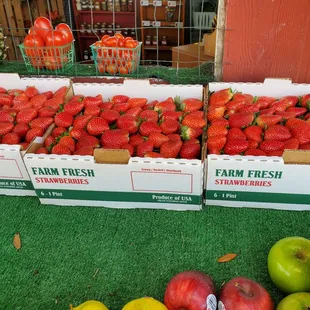 Half flats of local strawberries
