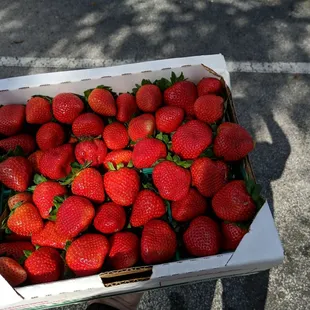 Small Business Saturday stop two.