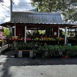 Beautiful day to get some fresh veggies and plants.