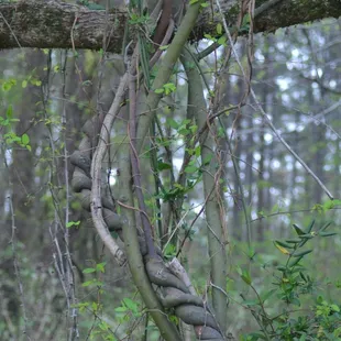 A strange vibe out behind the restaurant.