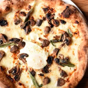 Umami Explosion: Taleggio, fior di latte, smoked mozzarella, crimini and egg.  Sprinkled with house-made umami