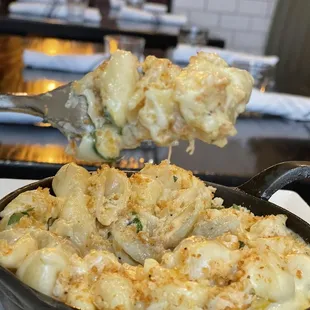 a fork lifting a serving of macaroni and cheese