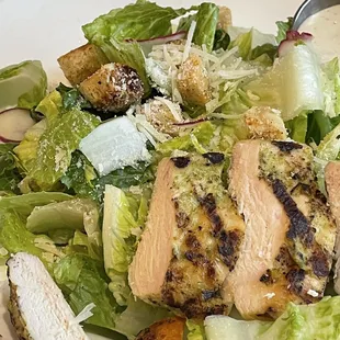 Grilled chicken salad