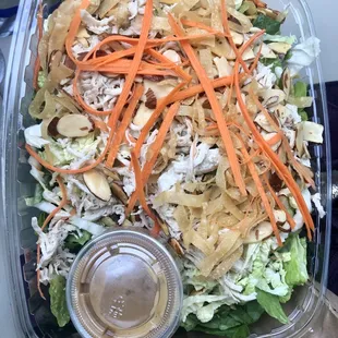 Regular Mandarin Chicken Salad