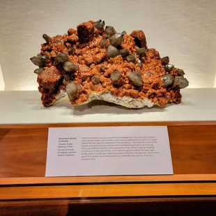 Lovely smokey quarts with garnets covering it.